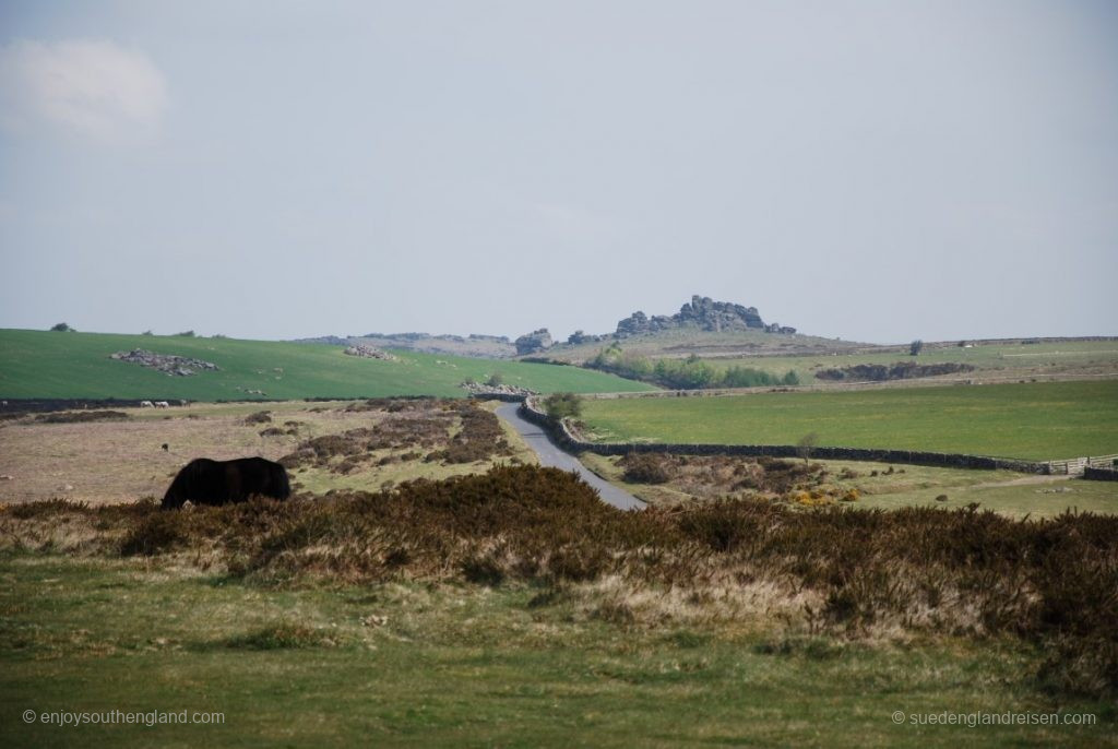 Typical of the moor: The stone hills, called "Thor"