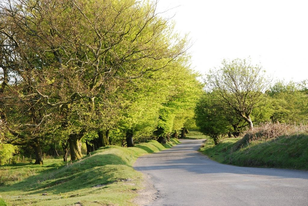 en route in Exmoor