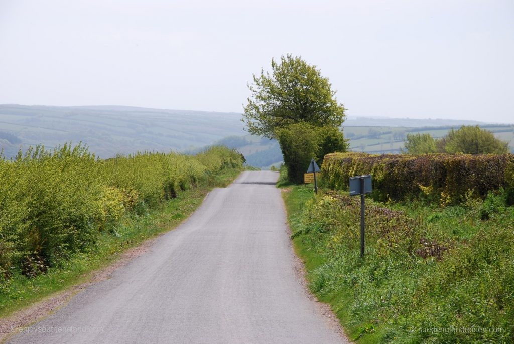 im Exmoor nahe des Duncery Beacon