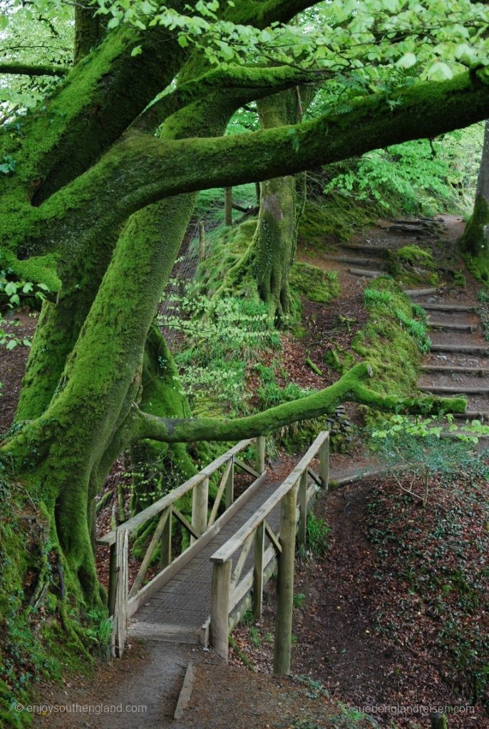 Lydford Gorge, Lydford, Devon, England