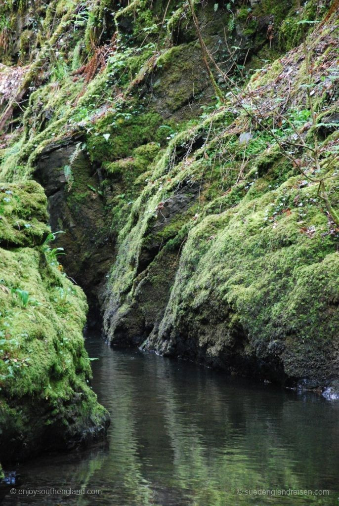 In der Lydford Gorge