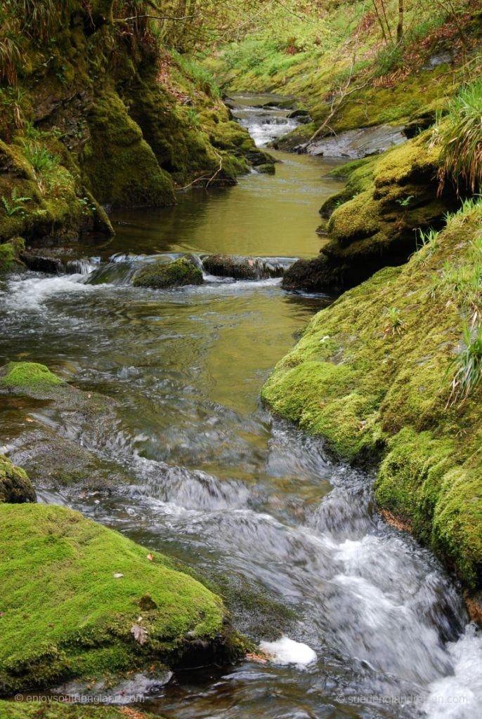 In der Lydford Gorge