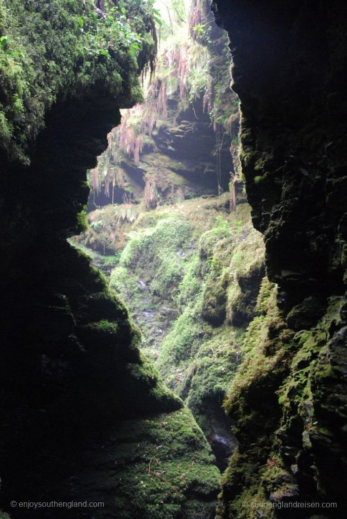 In der Lydford Gorge