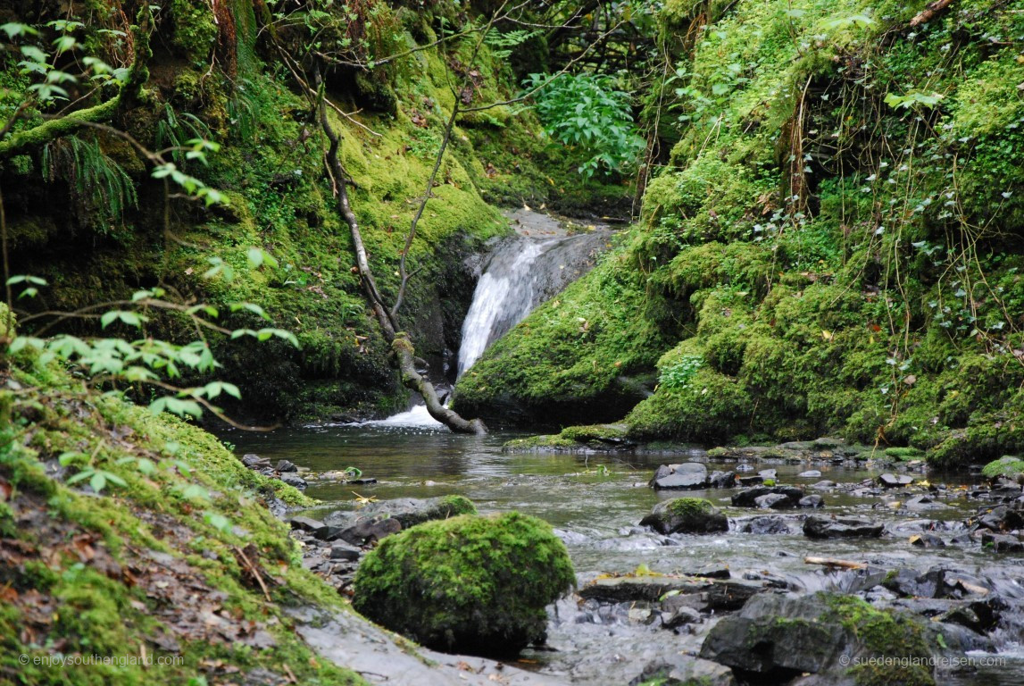 In der Lydford Gorge