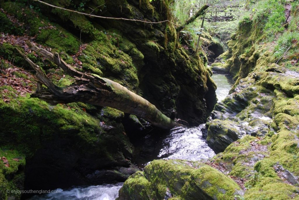 In der Lydford Gorge