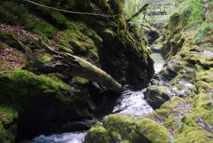 Lydford Gorge (Devon)