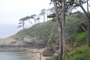 Roseland Peninsula in Cornwall