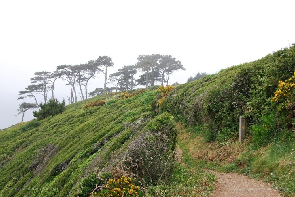 Roseland Peninsula im Nebel