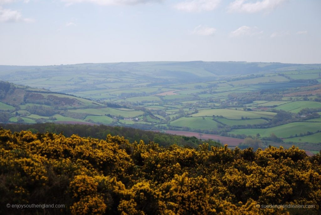 Blick nach Süden vom Selworthy Beacon