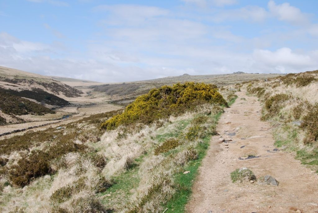 Dann öffnet sich der Blick in eine einsame Gegend des Dartmoor