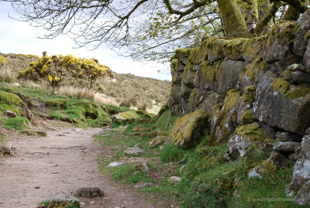 erst ein unspektakulärer Weg zum Wistman's Wood im Dartmoor