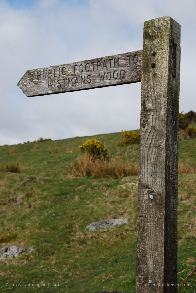 Der Weg zum Wistman's Wood im Dartmoor