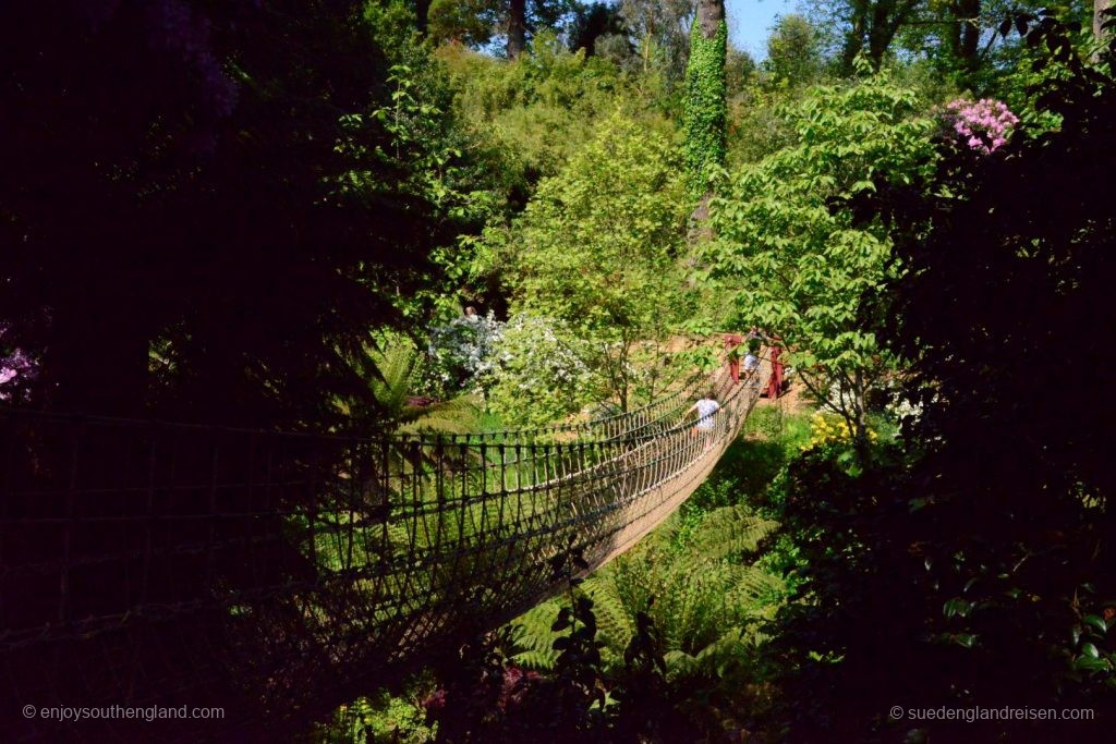 Die Brücke im Dschungel der Lost Gardens of Heligan