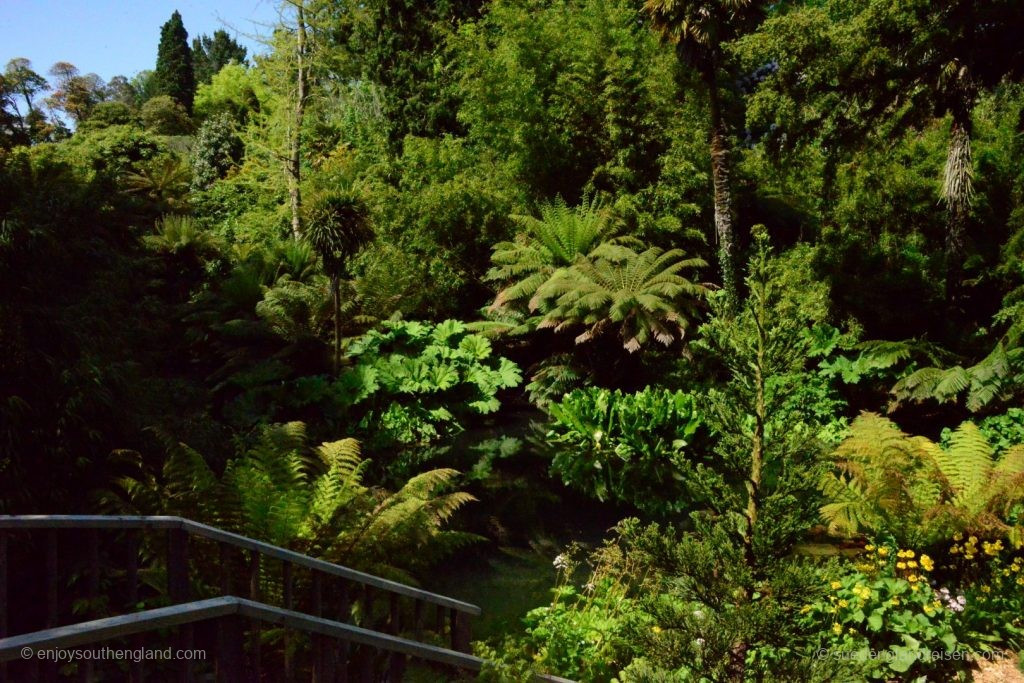 Die Lost Gardens of Heligan in tiefstem Grün