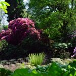 in den Lost Gardens of Heligan (Cornwall)
