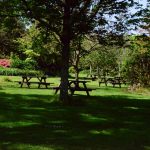 gemütlicher Rastplatz in den Lost Gardens of Heligan (Cornwall)