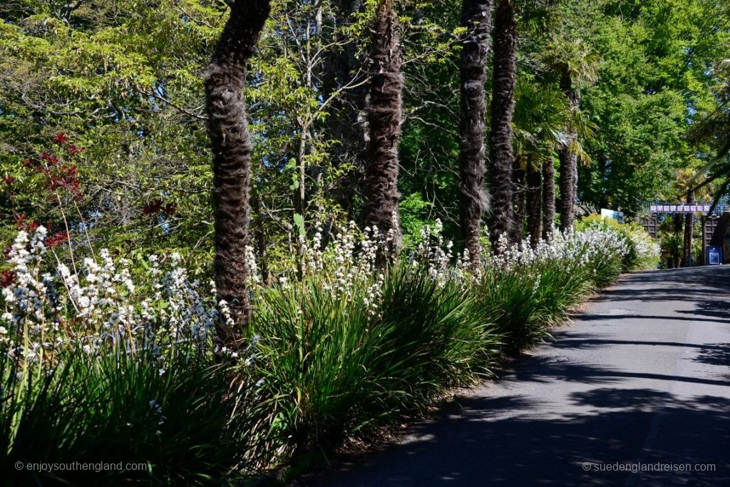 Alleine der Weg dorthin besticht durch mediterrane Vegetation