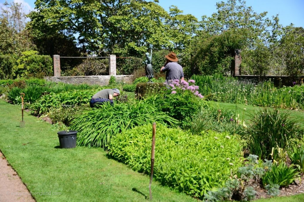 Im Overbeck's Garden (Devon)