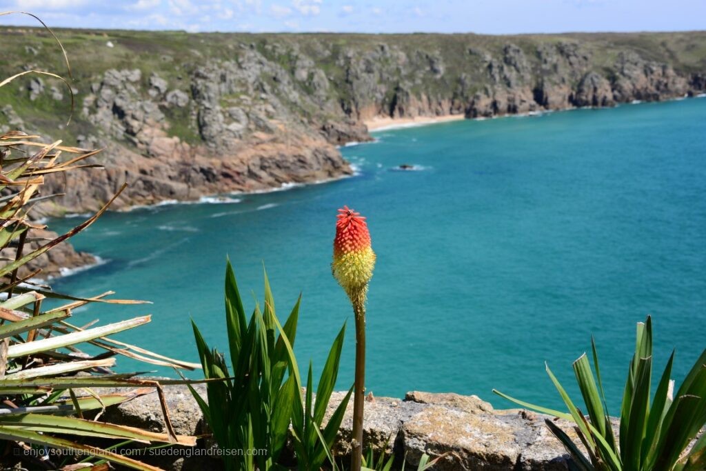 Porthcurno in Cornwall hat wunderschöne Buchten und das Open-Air "Minack Theatre"