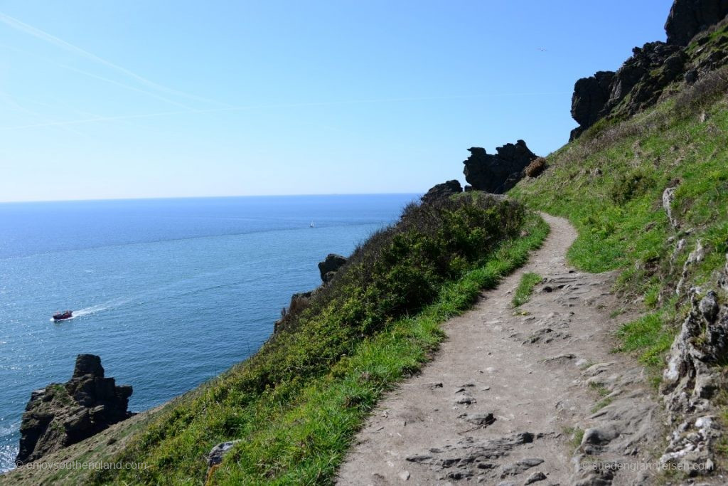 Auf den Klippen bei Salcombe (Devon)