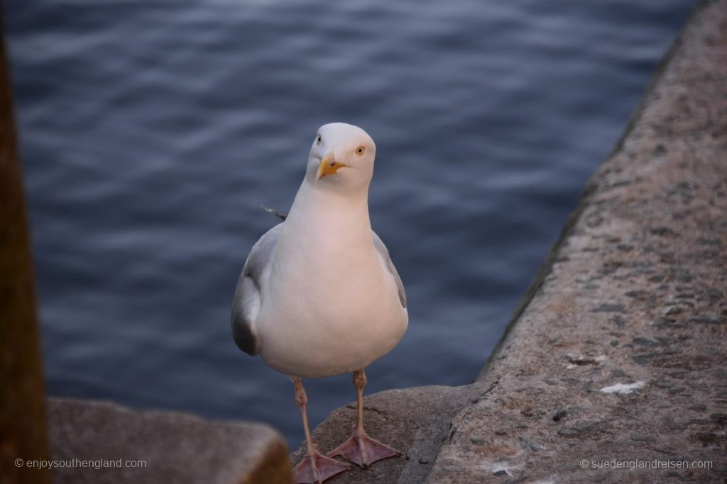 Die Einheimischen stehen dem fremden Fotografen sehr interessiert gegenüber