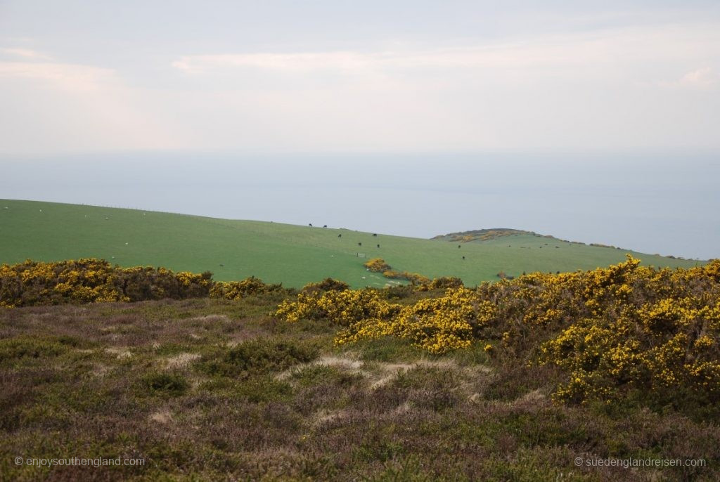 Blick auf den Bristol CHannel vom Selworthy Beacon