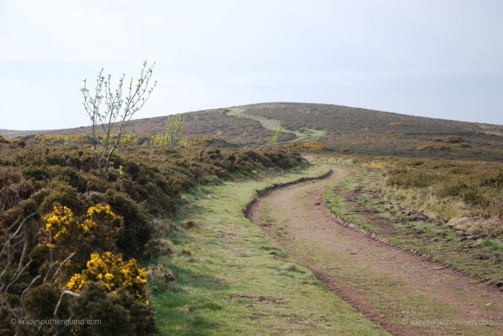 oben auf dem Selworthy Beacon