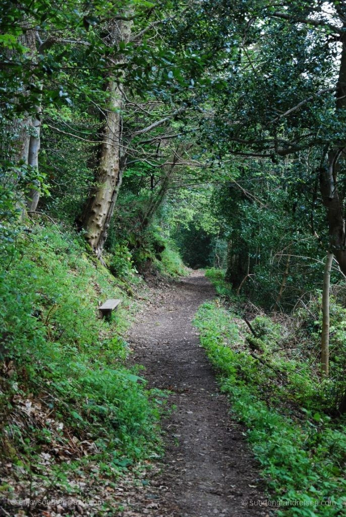 Waldweg zurück vom Selworthy Beacon nach Selworthy