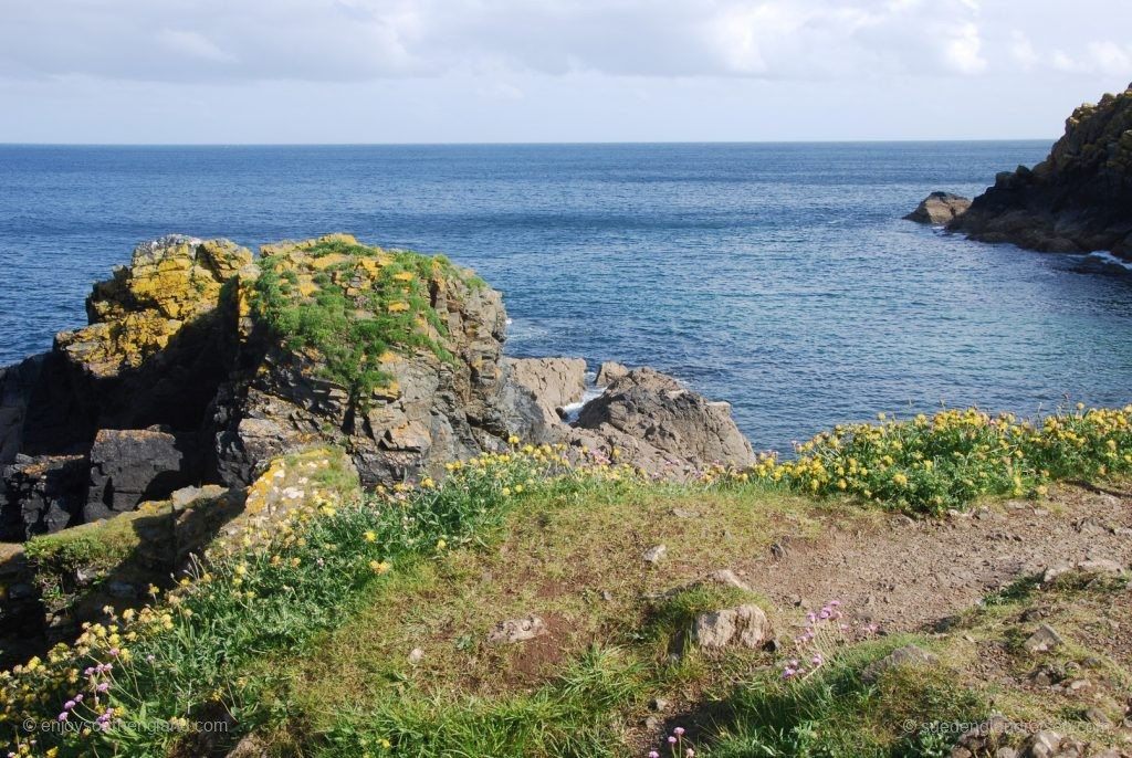 Cadgwith - Blick auf´s Meer