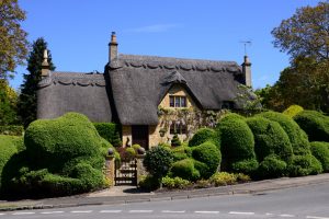 The landlord's pride is the correctly cutted hedge!