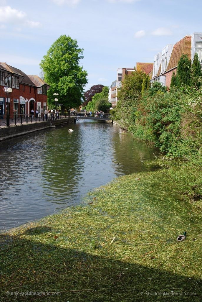 Natur in der Stadt Salisbury - links ist eine Promenade mit Geschäften