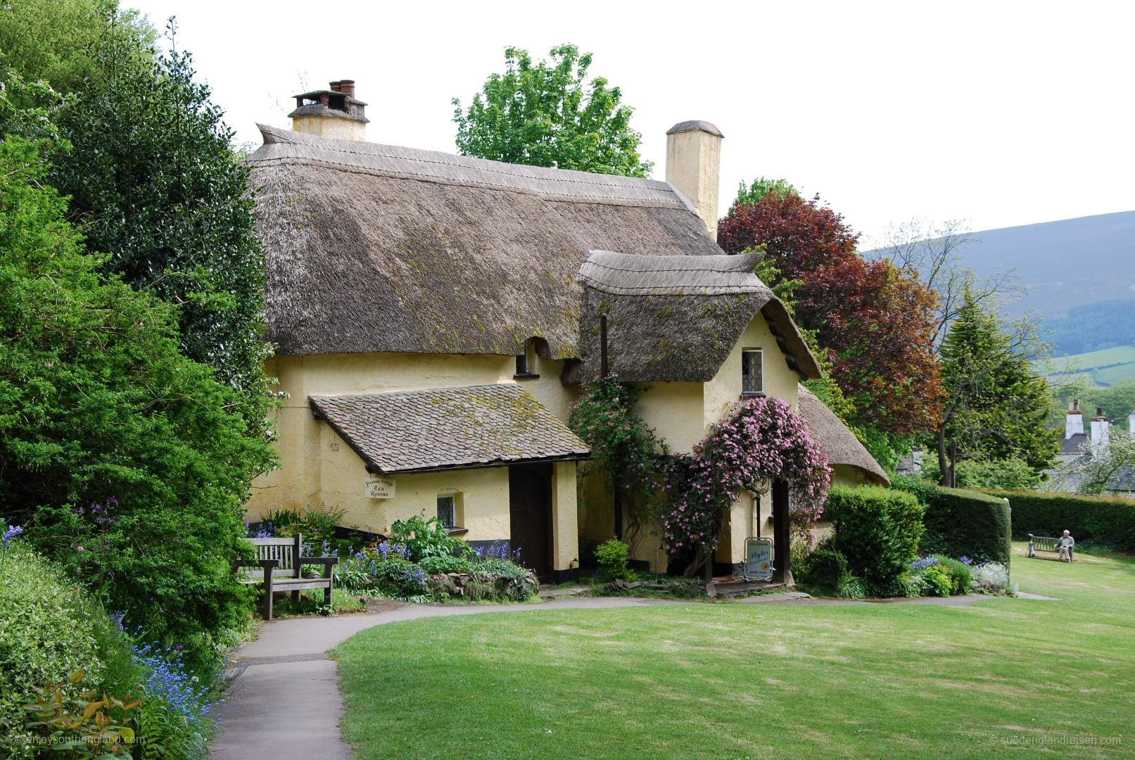 Tea Room in Selworthy