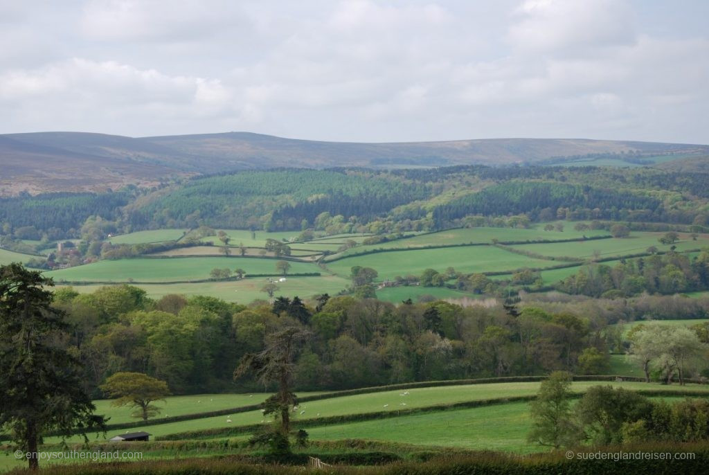 Blick von der Kirche zum Duncery Beacon, der höchsten Erhebung des Exmoors