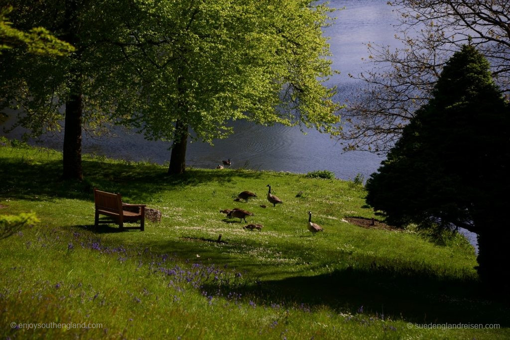 Impressionen aus Stourhead Garden