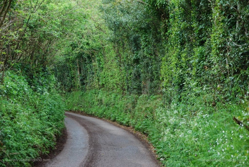 Eine ganz normale Landstraße - mit nur leicht eingeschränkter Sicht.