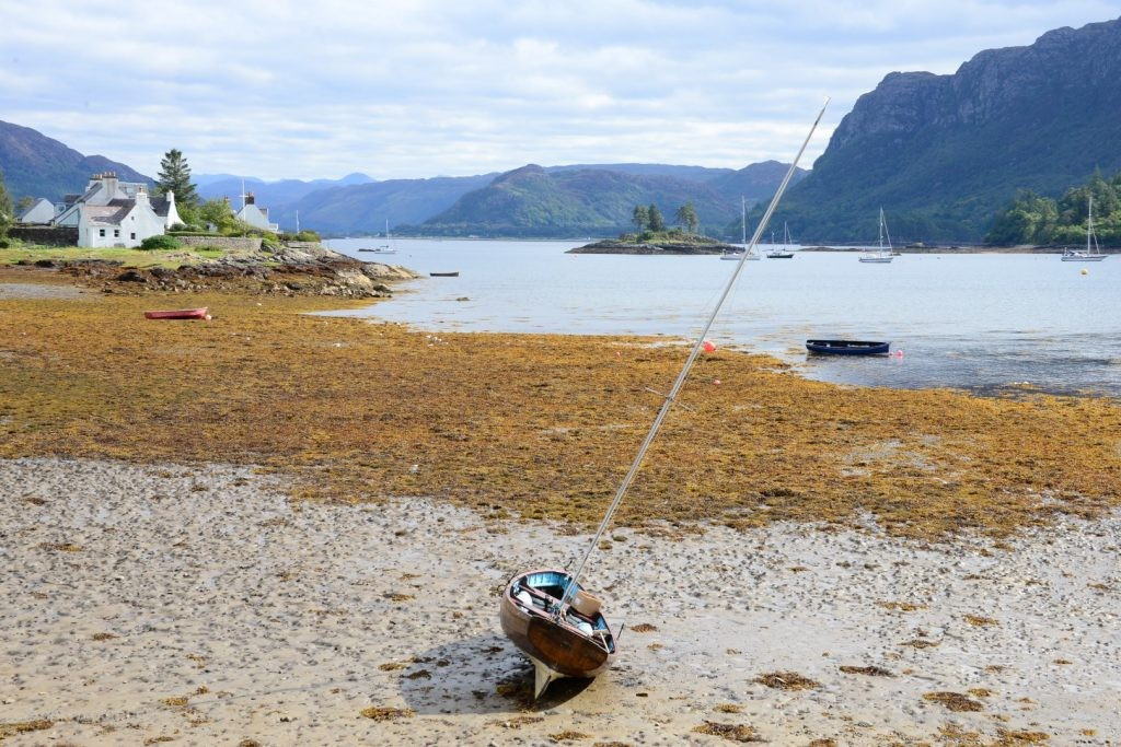 Sorry, this is just low tide. But there is a boat tour service at each tide.