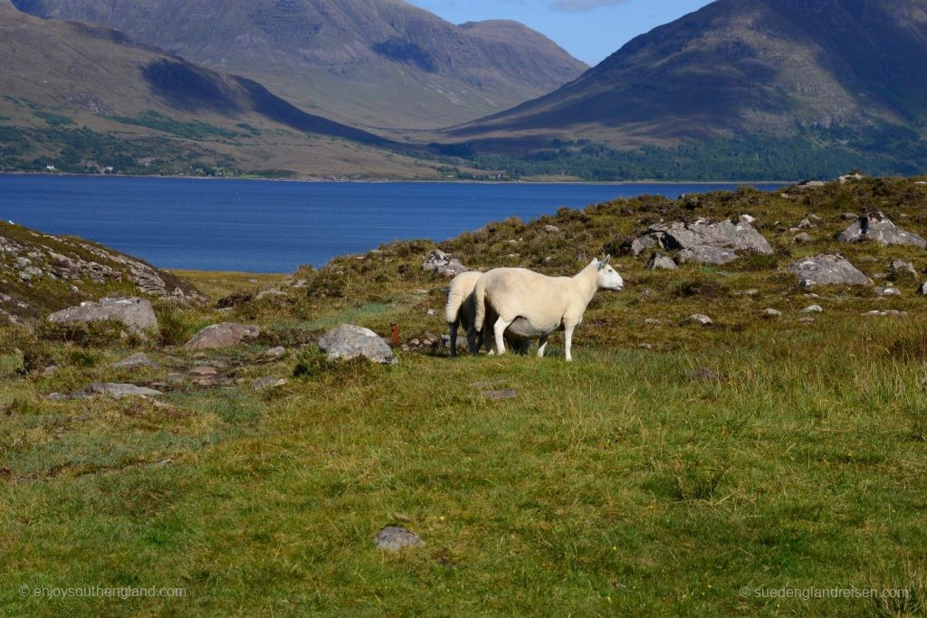 Upper Loch Torridon