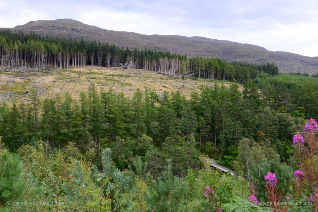 Unfortunately, as almost everywhere else, large-scale deforestation makes your heart bleed.