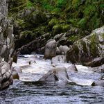 Der Findhorn River - teilweise ist er ziemliches Wildwasser