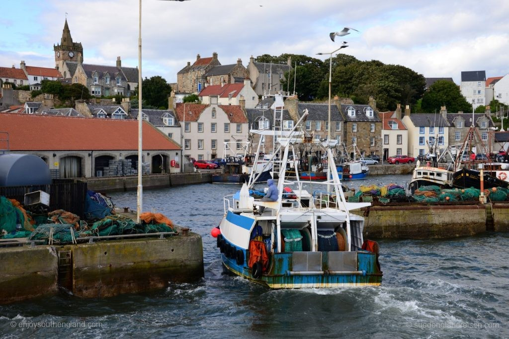 Der Working Harbour von Pittenweem