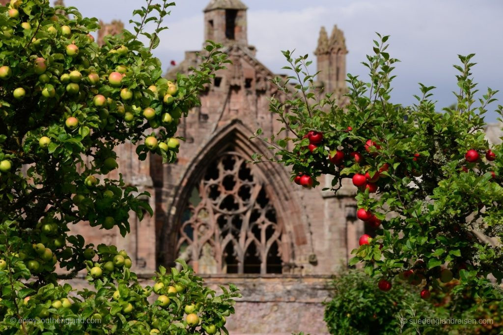 Melrose Abbey vom Priorwood Garden aus gesehen