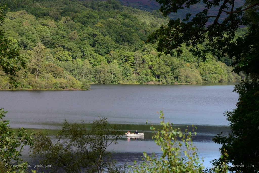 Still, the mountain slopes are deep wooded down to the Lakes. Only: For how long? 