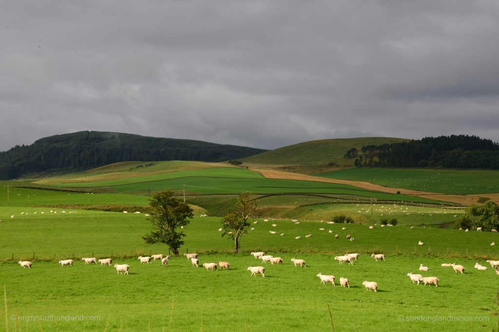 on the road in the South of Scotland