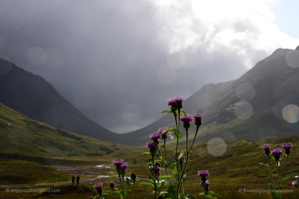 Actually a failed picture because of the water droplets - but yet somehow very atmospheric