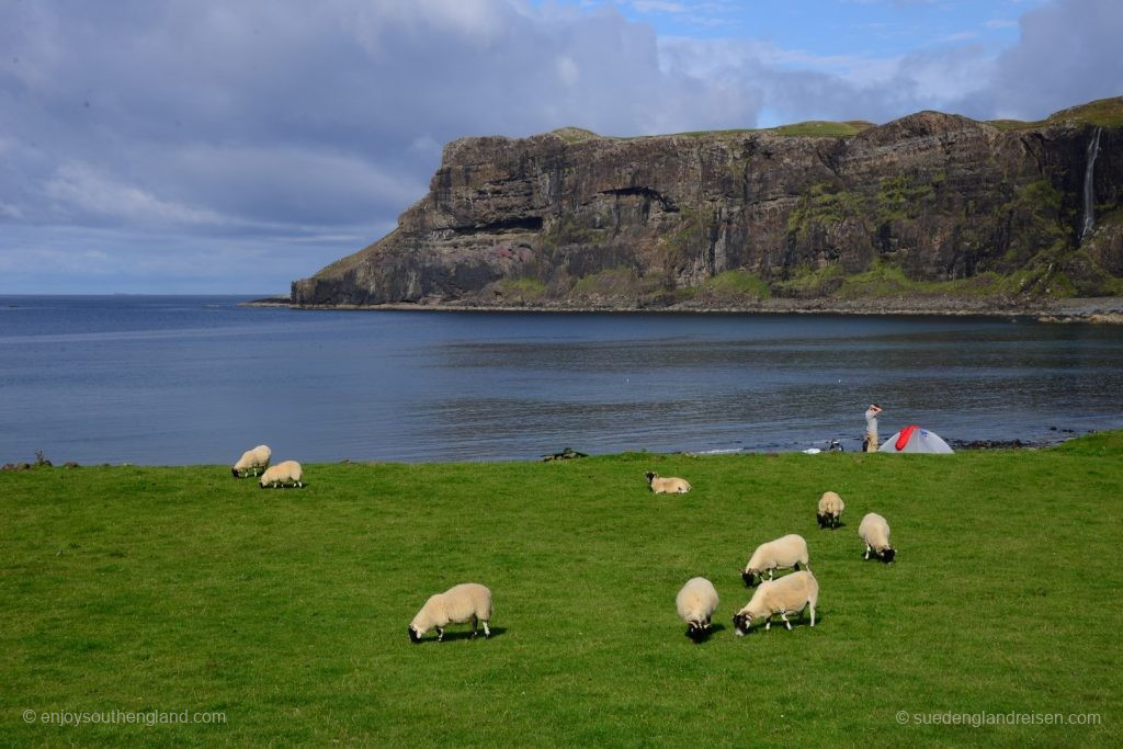 Purely Idyllic at Talisker Bay: Deep green meadow with sheep, deep blue sea behind it and a waterfall cascading right on the rocks. Is there a better place to spend the night?