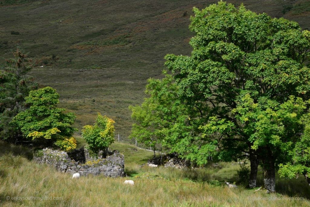 The House must have been there for a long time, as the trees are so big!