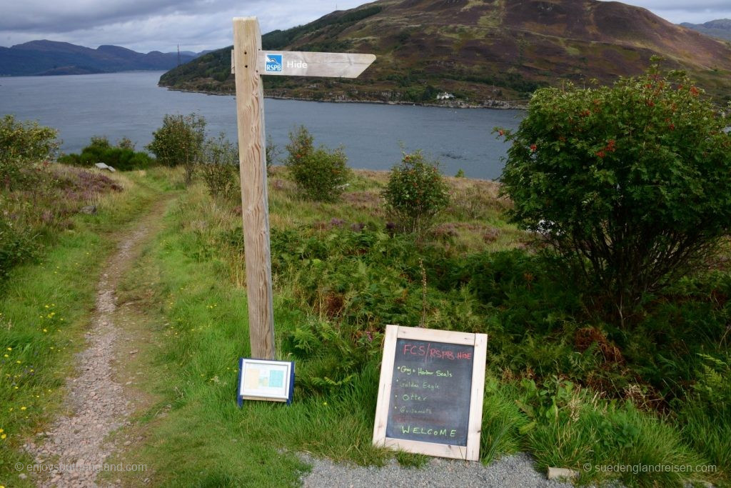 Am Ende der Straße in Kylerhea lädt ein besetzter Vogelbeobachtungsstand zum Besuch ein