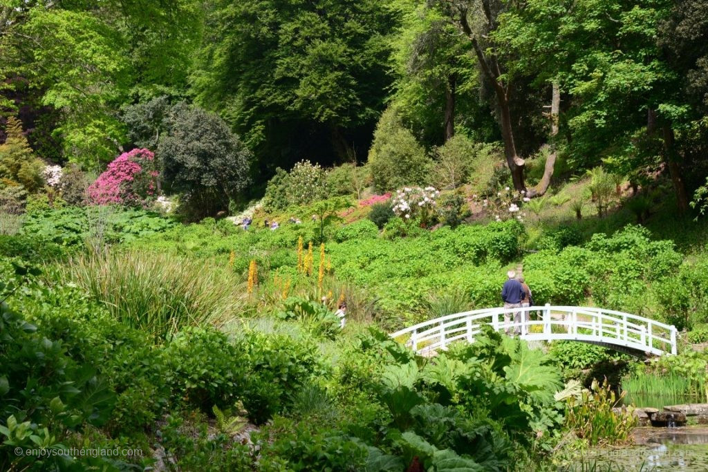 Blick in den Trebah Garden von unten