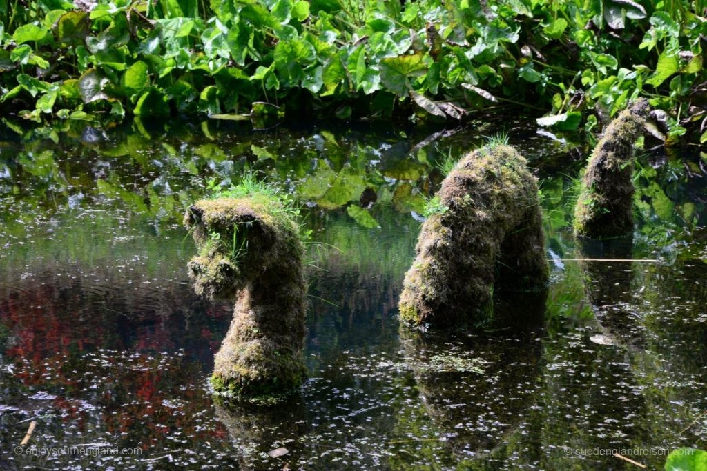 Im Jahr 2016 verbachte Nessie aus Schottland seinen Sommerurlaub im Trebah Garden in Cornwall