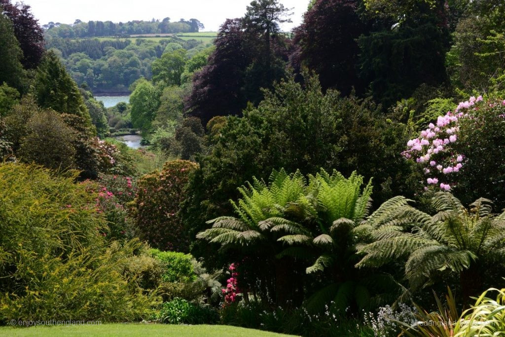 Trebah Garden ist einer dieser für Cornwall typischen Gärten, die in einem kleinen Tal zum Wasser hin mit besonderem Mikroklima liegen.